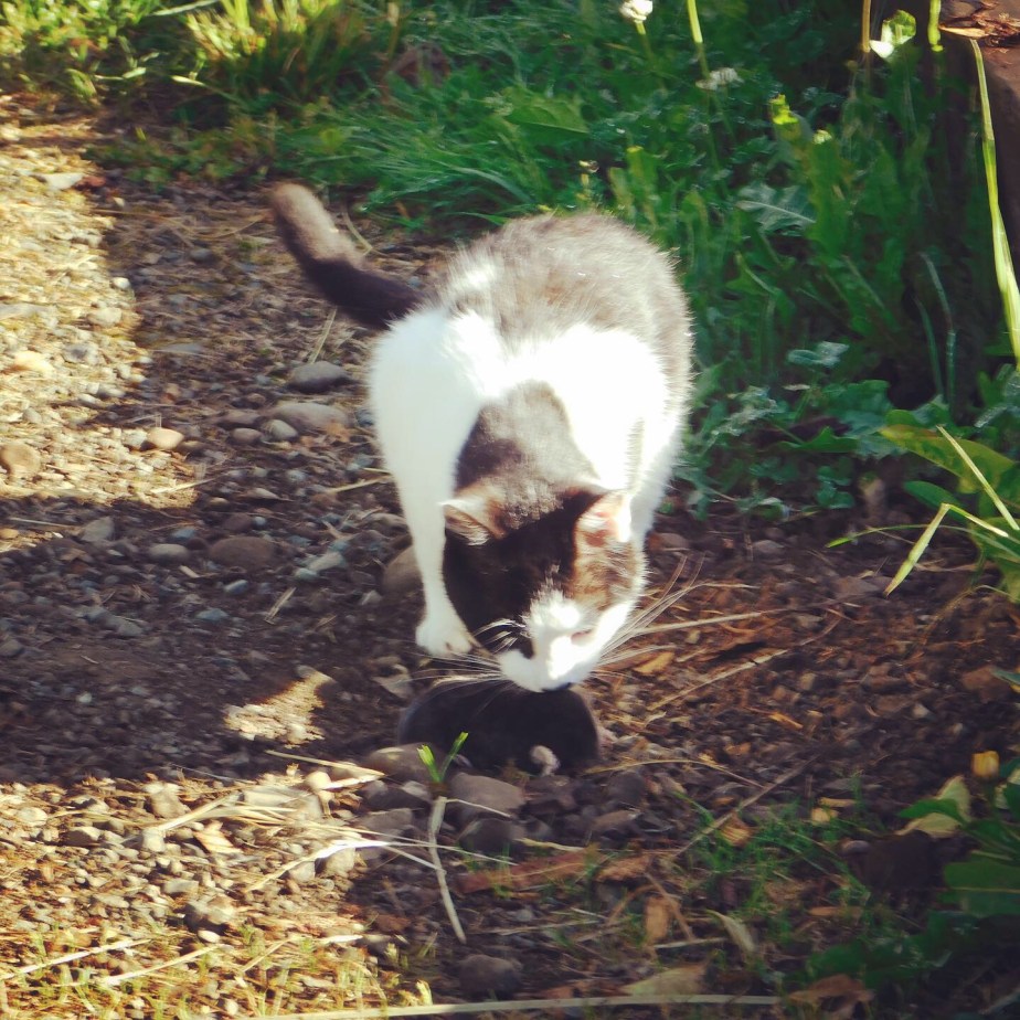 EA45EAF0-E545-4C45-BB35-5BDEE780A456